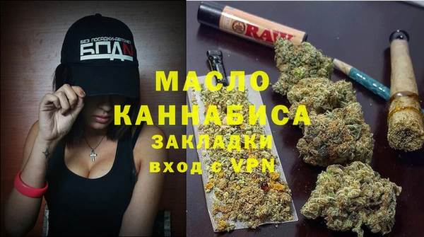 индика Струнино