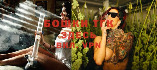 прущие грибы Верея