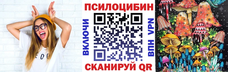 Псилоцибиновые грибы Psilocybe  blacksprut tor  Гай 