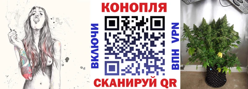МАРИХУАНА план Гай